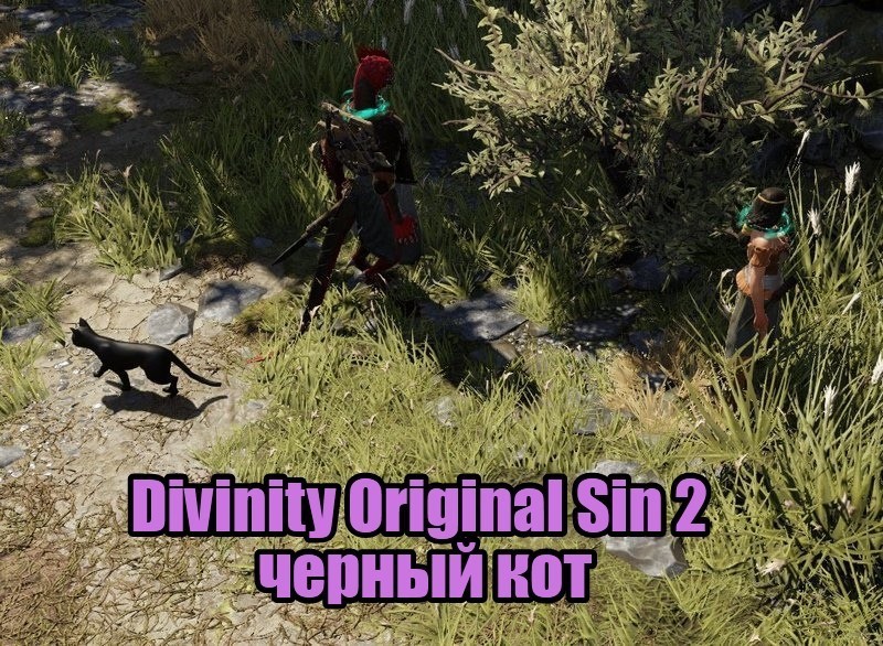 Divinity Original Sin 2 черный кот