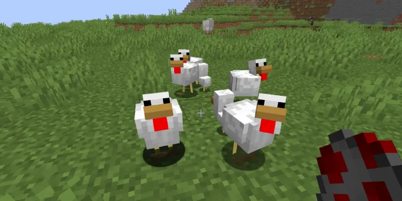 как приручить курицу в minecraft