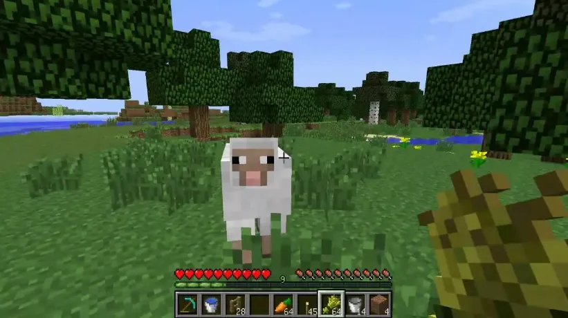 как приручить овцу в minecraft